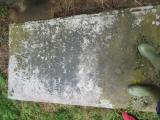 image of grave number 540353